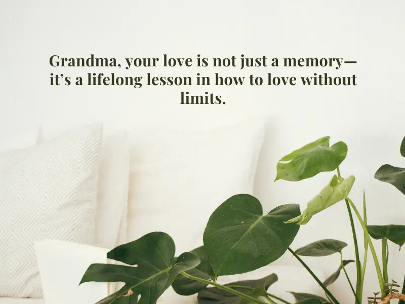 Grandma, your love is not just a memory—it’s a lifelong lesson in how to love without limits.