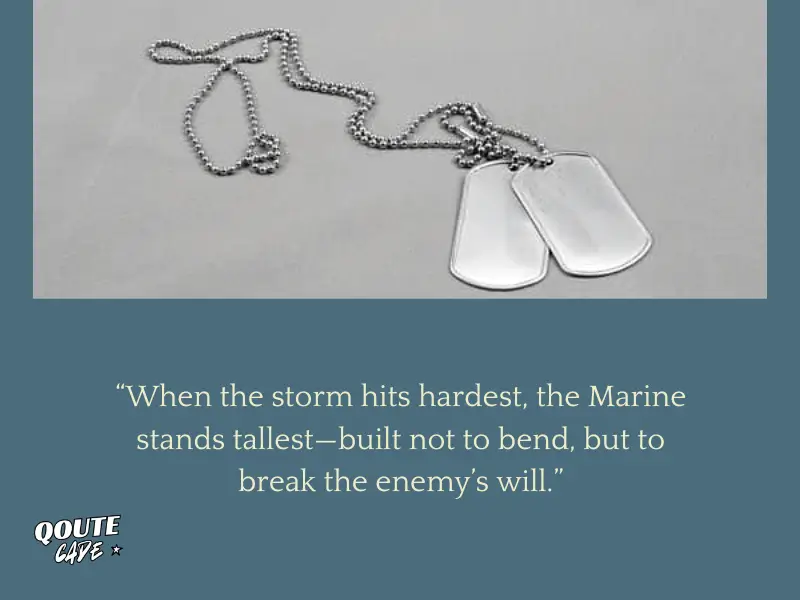 Inspirational Marine Quotes About Life
