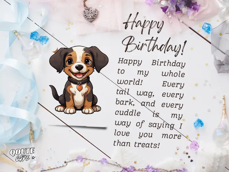 Birthday Wishes From Dog To Human