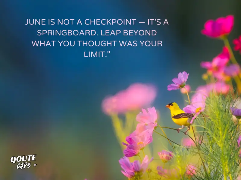 Motivational Quotes for Social Media in June