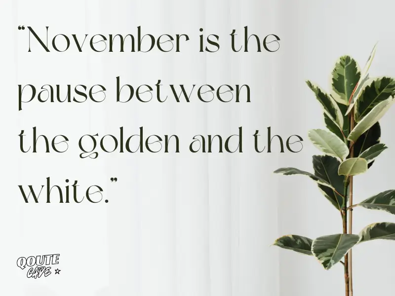 November Quotes & Wishes To Enjoy The Season