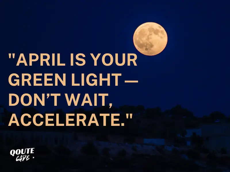 Quotes About Motivation & Drive