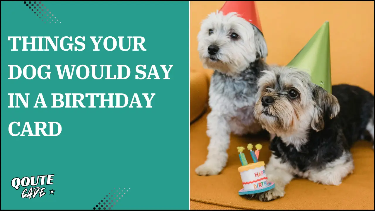 things your dog would say in a birthday card