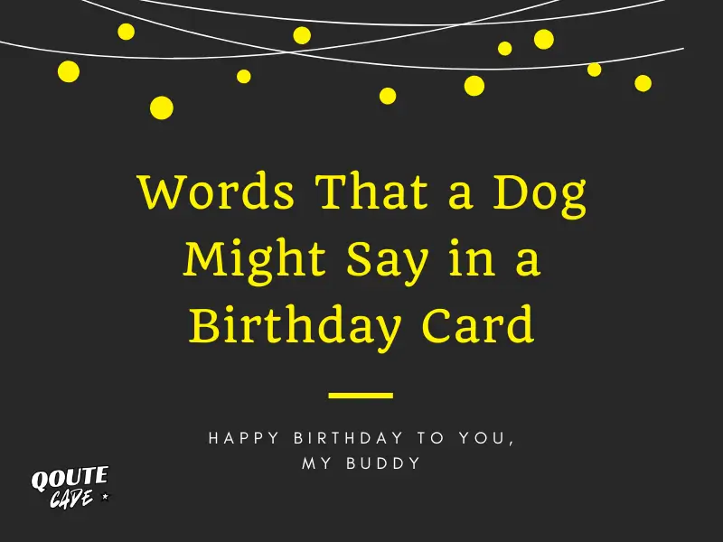 Things Your Dog Would Say in a Birthday Card