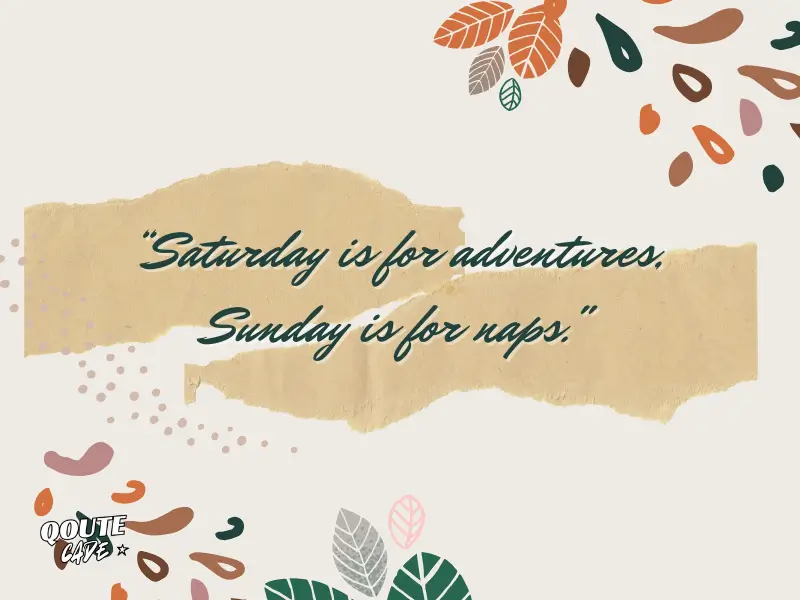 Funny Saturday Quotes