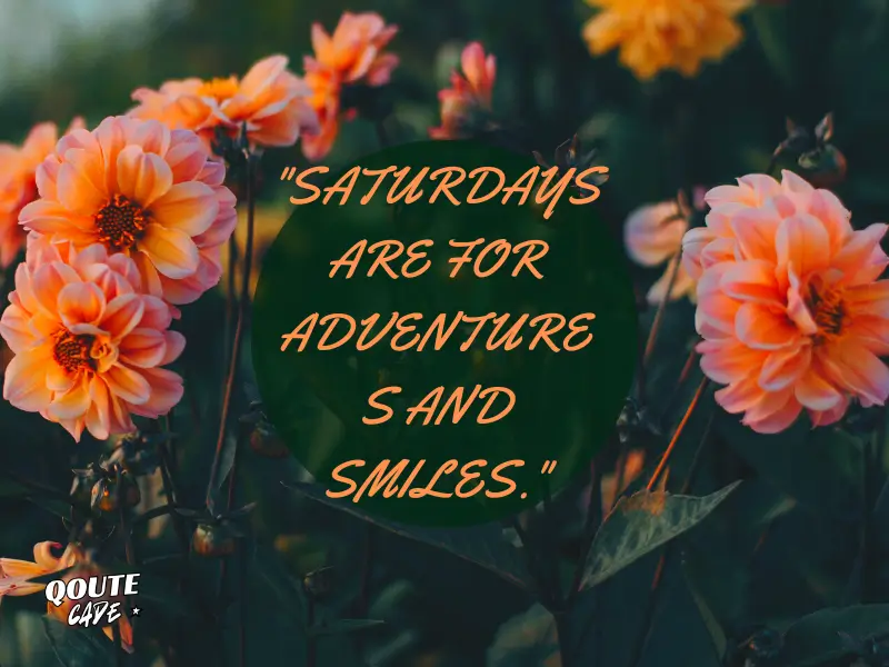 Happy Saturday Quotes for Joy