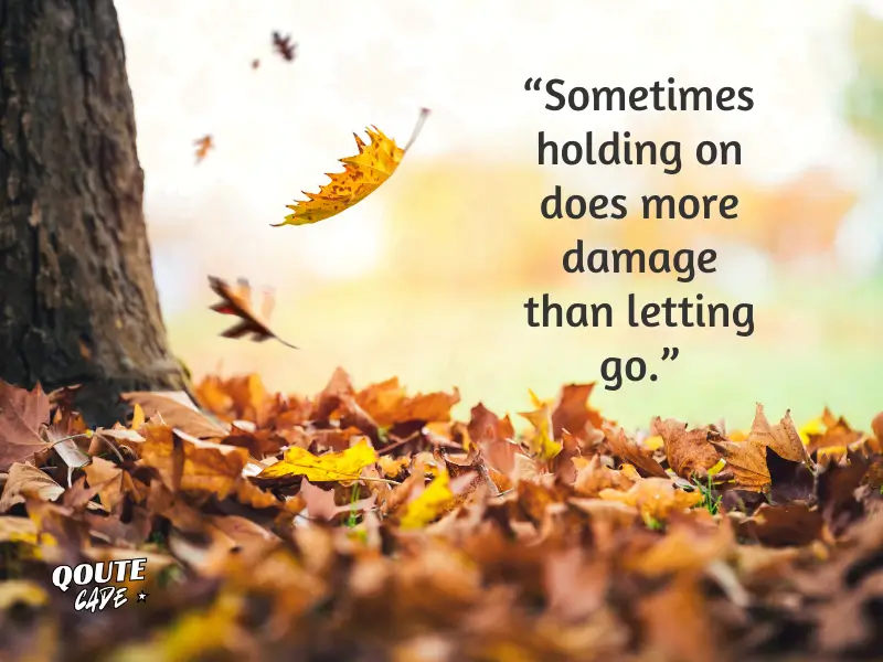 Holding On and Letting Go Quotes