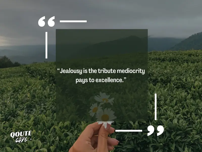 Jealousy Bitterness Quotes for Haters