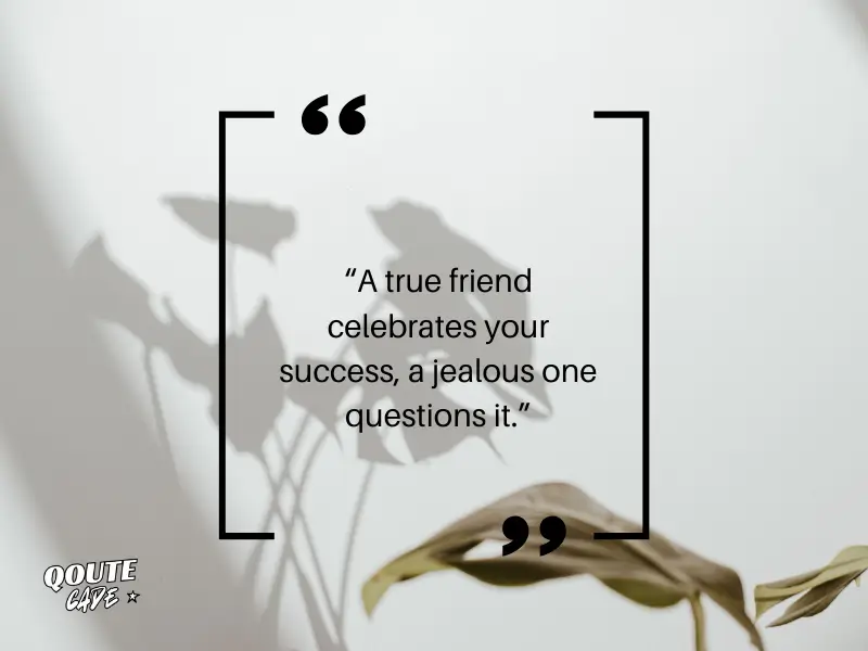 Quotes About Jealous Friendships