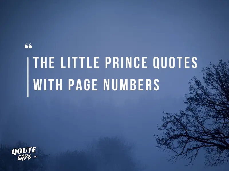 The Little Prince Quotes With Page Numbers