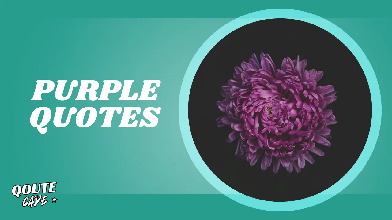 purple quotes